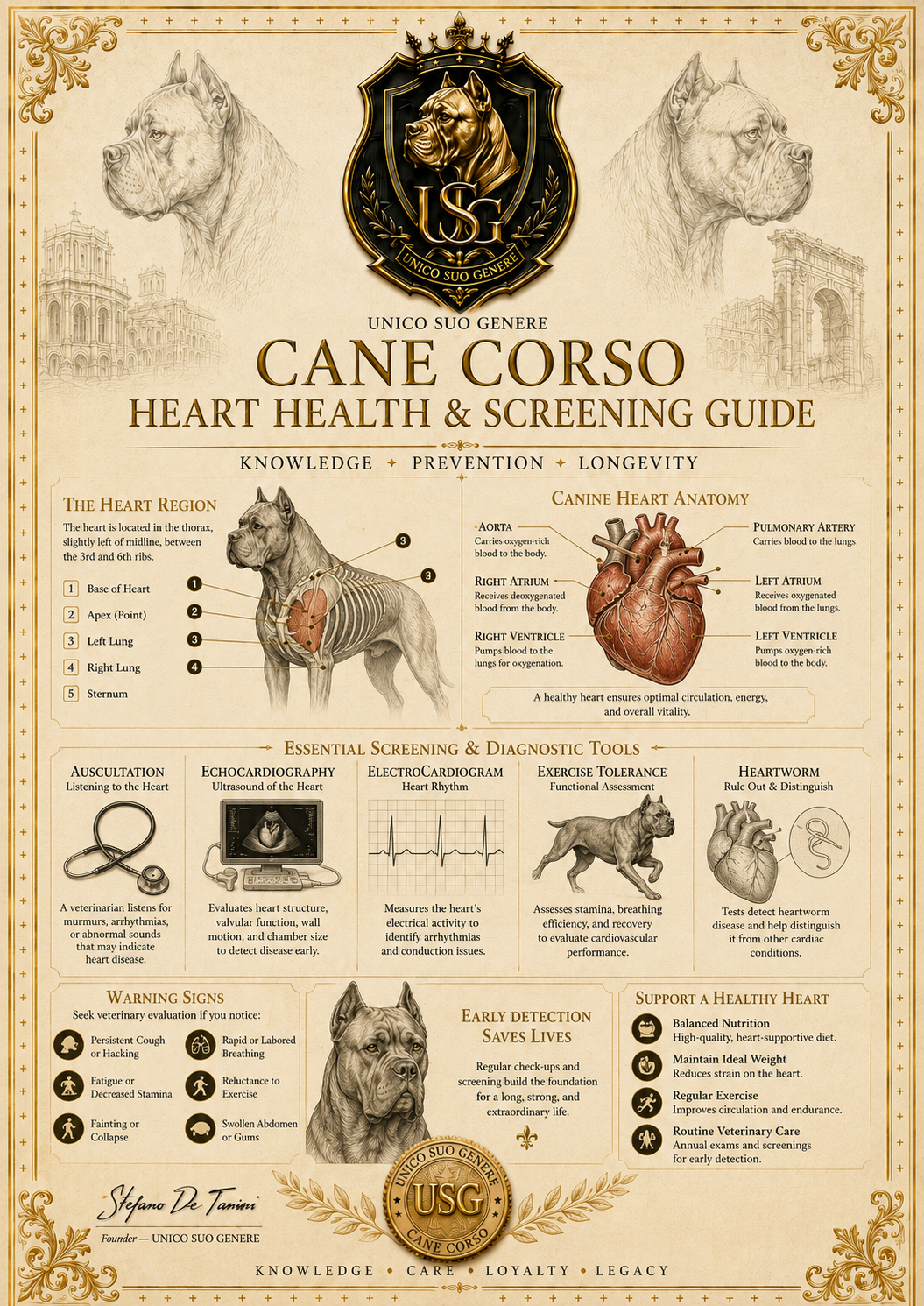 Heart Health & Screening